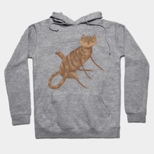 Gangly Cat Hoodie